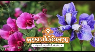 ไม้หอม