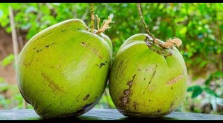 น้ำมันมะพร้าว