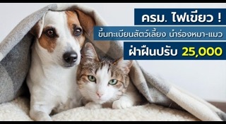 พ.ร.บ.คุ้มครองสัตว์