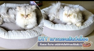 ของใช้สุนัข