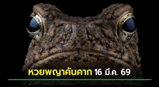 เลขเด็ดงวดนี้