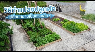 วิธีทำแปลงผัก