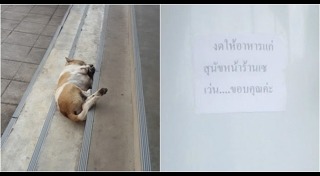 ดราม่าเซเว่น อีเลฟเว่น