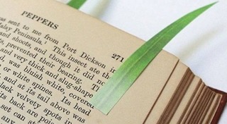 รักการอ่าน