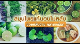 สมุนไพรช่วยให้นอนหลับ