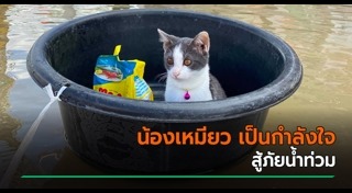 น้ำท่วมนครศรีธรรมราช