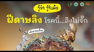 ฝีดาษลิง