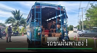 หมอนทองวิทยา