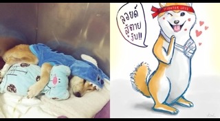 ลอยด์ หมาชิบะ