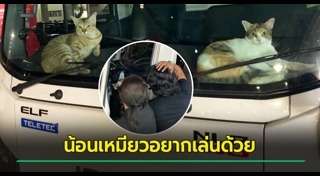 สัตว์แสนรู้