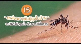 วิธีป้องกันยุงกัด