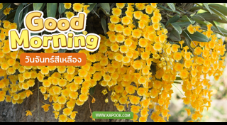 ดูดวงเดือนมกราคม