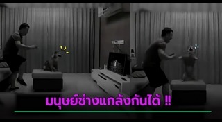 คนกับหมา