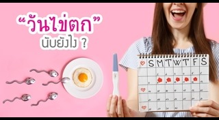 ตกไข่