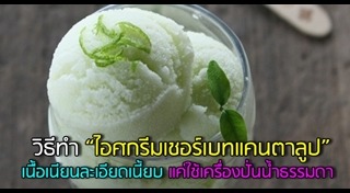 แคนตาลูป