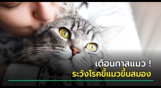 เชื้อโรคจากสัตว์เลี้ยง