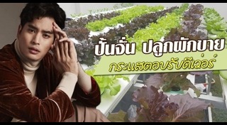 ผักไฮโดรโปนิกส์