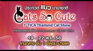 งานสัตว์เลี้ยง