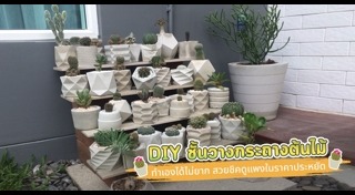 DIY กระถางต้นไม้