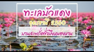 ทะเลบัวแดง