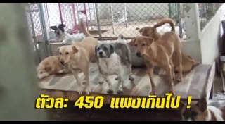 พ.ร.บ.คุ้มครองสัตว์