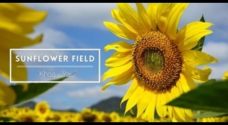 ที่พักเชียงราย