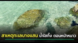 ทะเลสวยๆ