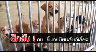 พ.ร.บ.คุ้มครองสัตว์