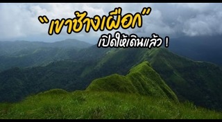 เขาช้างเผือก