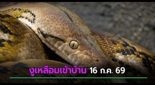 ข่าวหวย