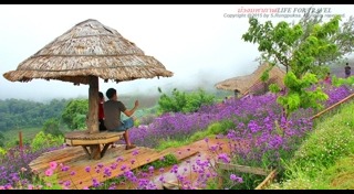 แม่กลางหลวง