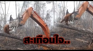 ภาพสะเทือนใจ