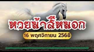 ม้าสีหมอก