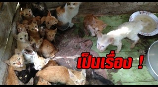 พ.ร.บ.คุ้มครองสัตว์