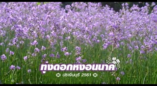 ปราจีนบุรี