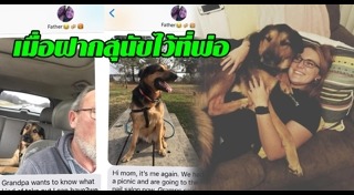 คนกับหมา