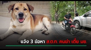 เตี้ย มช.