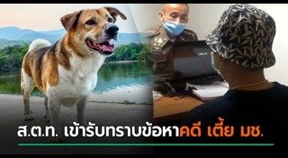 เตี้ย มช.