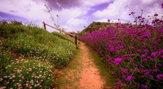 เที่ยวม่อนแจ่ม