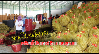 อาลีบาบา