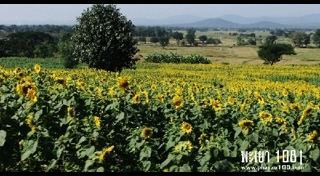 เที่ยวพะเยา