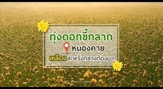 เที่ยวหนองคาย