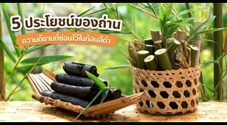 รีไซเคิลของใช้ในบ้าน