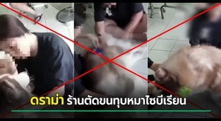 ทำร้ายสุนัข