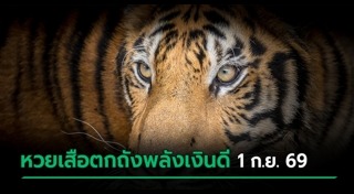 เลขเด็ดงวดนี้