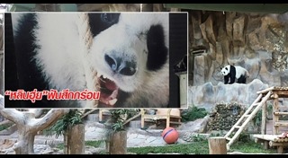 สวนสัตว์เชียงใหม่