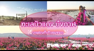 ทะเลบัวแดง