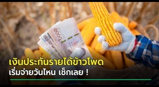 ข้าวโพด