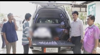 วิธีป้องกันโรคไข้เลือดออก