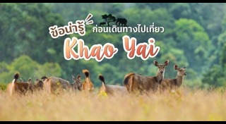 ที่เที่ยวเขาใหญ่